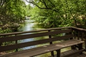 Dancing Waters by Mountain Oasis | Riverfront Cabin in Ellijay