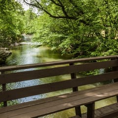 Dancing Waters by Mountain Oasis | Riverfront Cabin in Ellijay