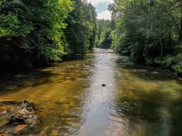 Brown Trout Lodge by Mountain Oasis | Fightingtown Creek Retreat - Image 4