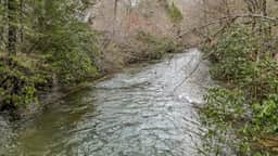Reeling 'Em Inn by Mountain Oasis | Fightingtown Creekfront - Image 4