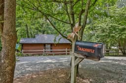 Dragonfly on the Cartecay by Mountain Oasis | Riverfront Cabin - Image 3