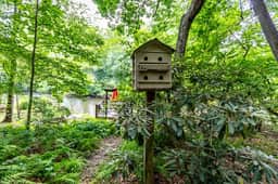 Dragonfly on the Cartecay by Mountain Oasis | Riverfront Cabin - Image 5