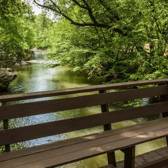 Dancing Waters by Mountain Oasis | Riverfront Cabin in Ellijay - Image 1