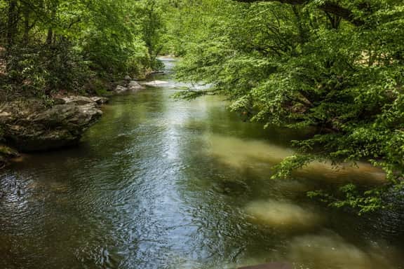 Dancing Waters by Mountain Oasis | Riverfront Cabin in Ellijay - Image 5