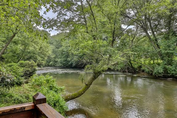 Dragonfly on the Cartecay by Mountain Oasis | Riverfront Cabin - Image 4